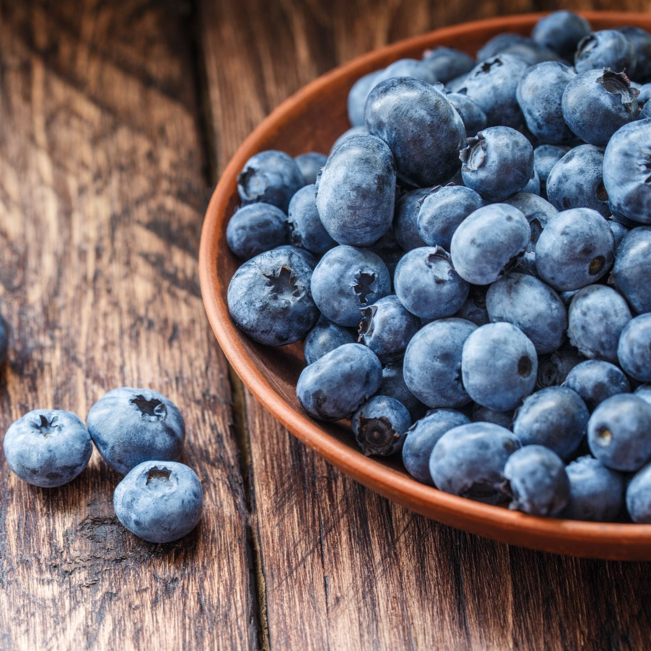 FARM FRESH MICHIGAN BLUEBERRIES, IPM, 10 LB Box